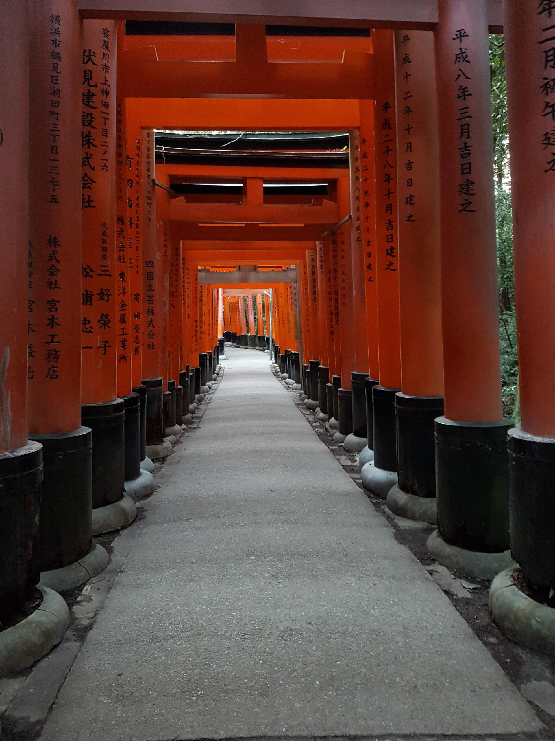 torii del fushimi inari a kyoto